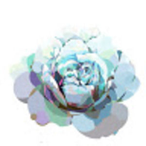 Meet your Posher, Jhayla